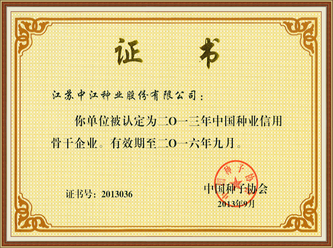 2013信用骨干企業(yè)（證書）